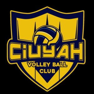 Logo bóng chuyền Việt Nam