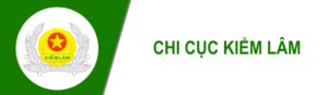 Tải 10+ bộ sưu tập logo Kiểm lâm vector chuẩn (AI, EPS, SVG, PNG) in túi vải 4 Logo Kiểm lâm chi tiết