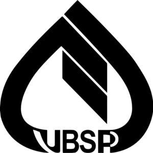 Logo VBSP