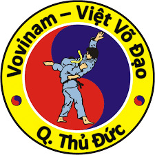 Logo Vovinam Việt Võ Đạo vector