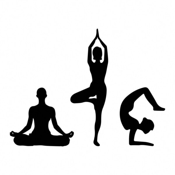 yoga vector